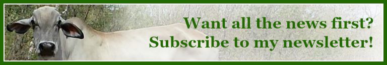 Click to subscribe to my newsletter