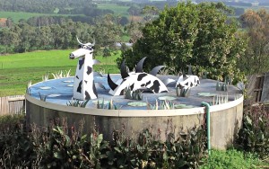 A Loch Ness Cow at Apostle Whey Cheese