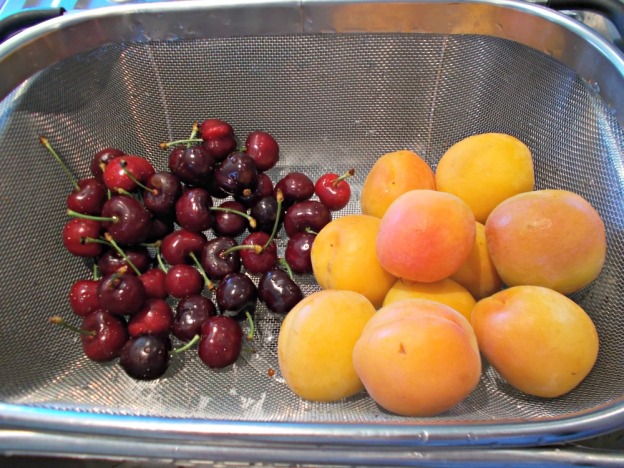 Washed new season cherries and apricots