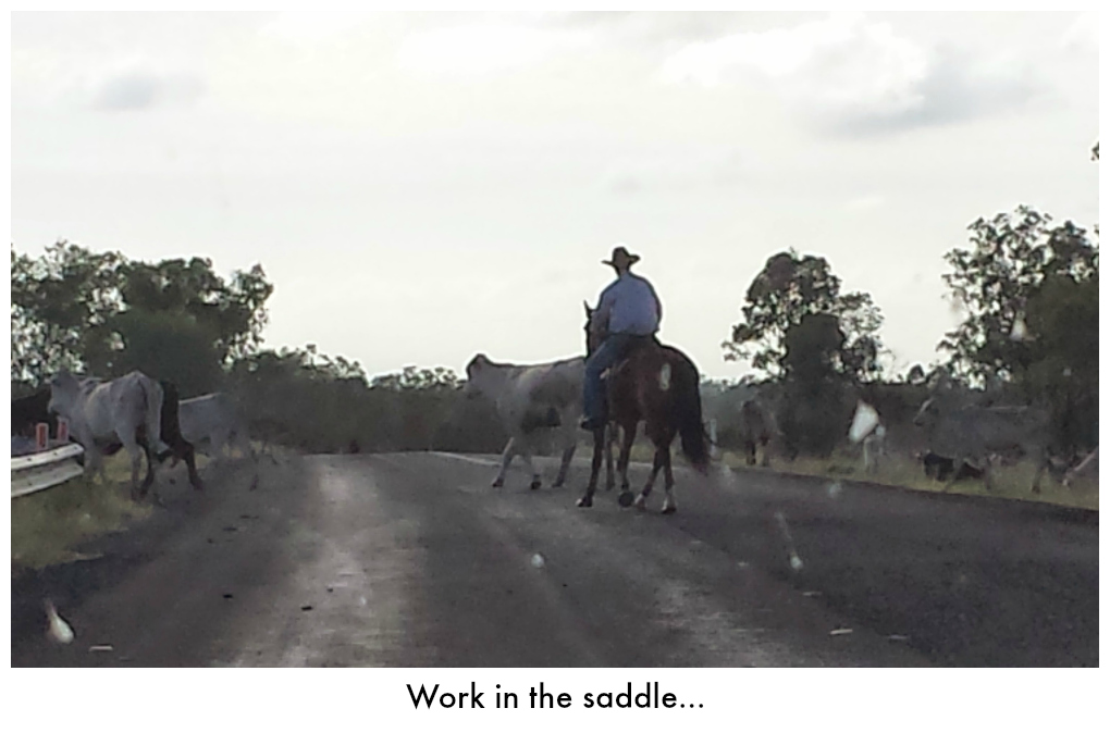 Drover on horseback