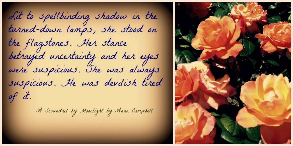 Quote from A Scoundrel by Moonlight by Anna Campbell