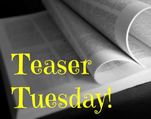 Teaser Tuesday