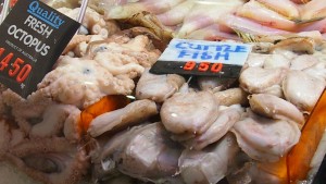 Octopus and Cuttlefish at Queen Victoria Market