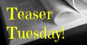Teaser Tuesday meme