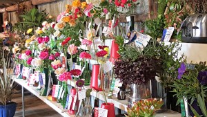 lowers at Luddenham Show