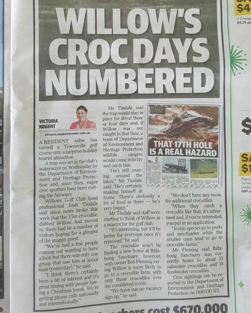Newspaper article about the Willows crocodile