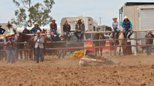 Bowen River Rodeo and Campdraft