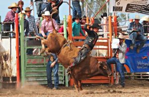 Bowen River Rodeo and Campdraft