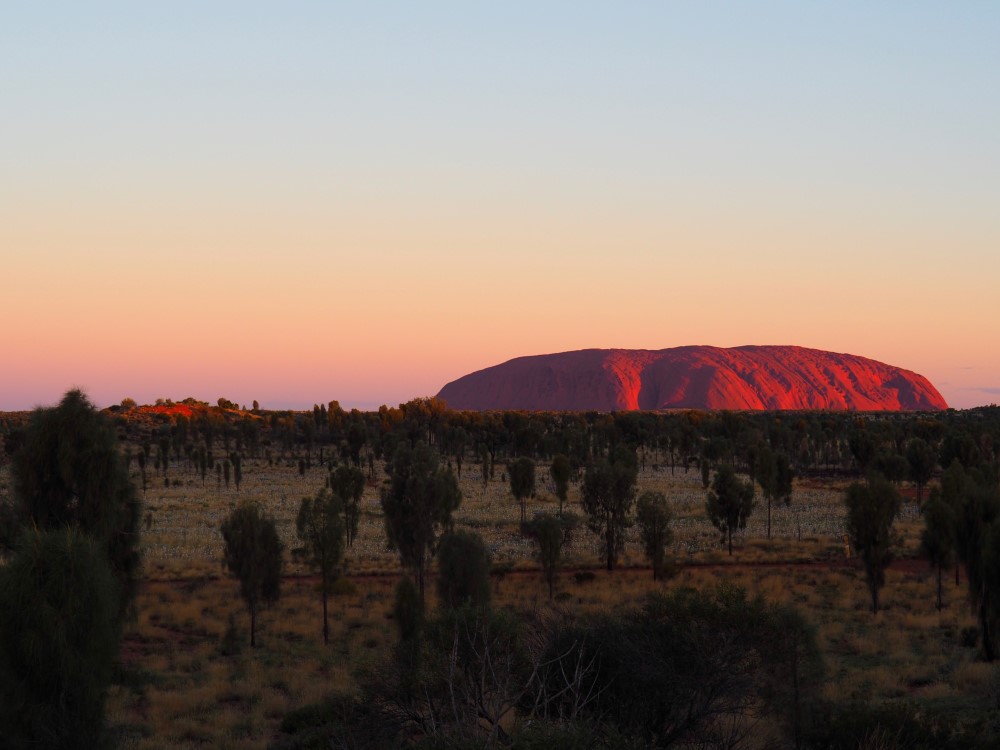 View of Uluru from Yalara Resort